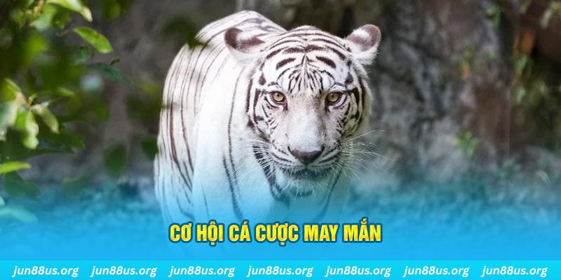 j88vip hết slot la gì