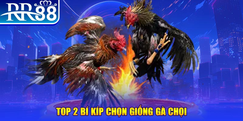 j88vip đăng nhập poker số 1