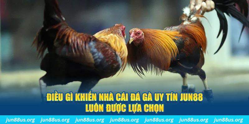 j88vip qq88 nổ hũ bắn cá