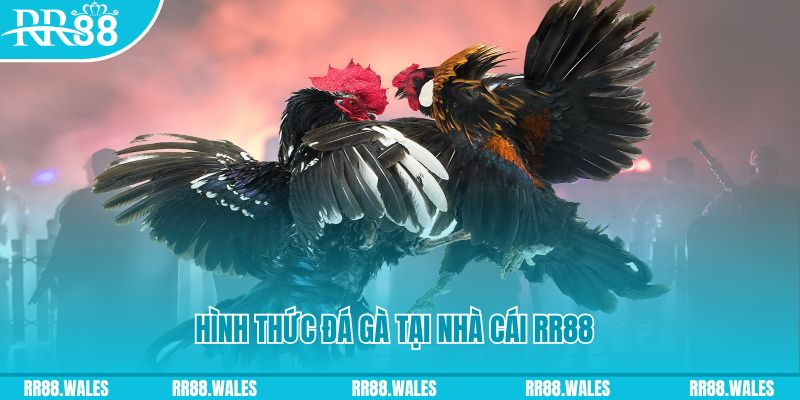j88vip xin 1 slot là gì