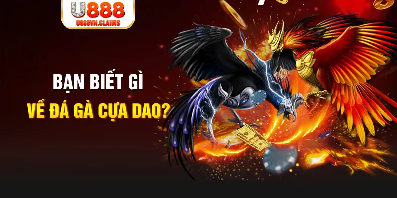 j88vip xổ số kiến thiết