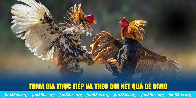 j88vip đá gà trực tiếp bình luận viên