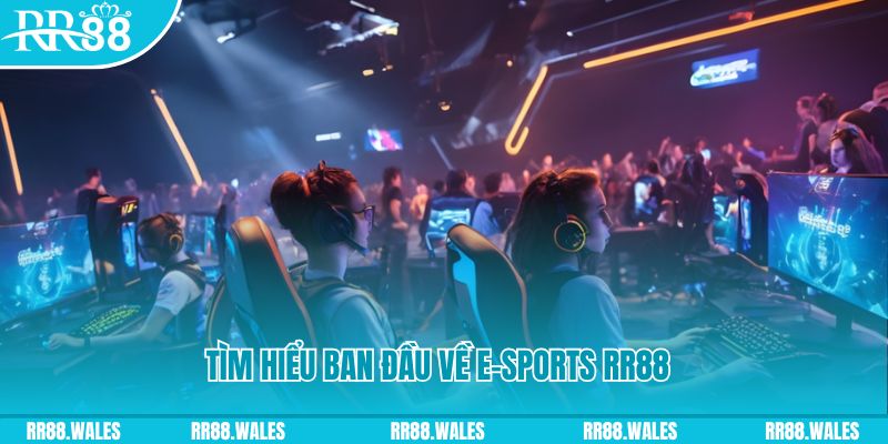 j88vip Đĩa màu ace