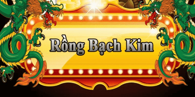 j88vip đăng nhập roulette 2025