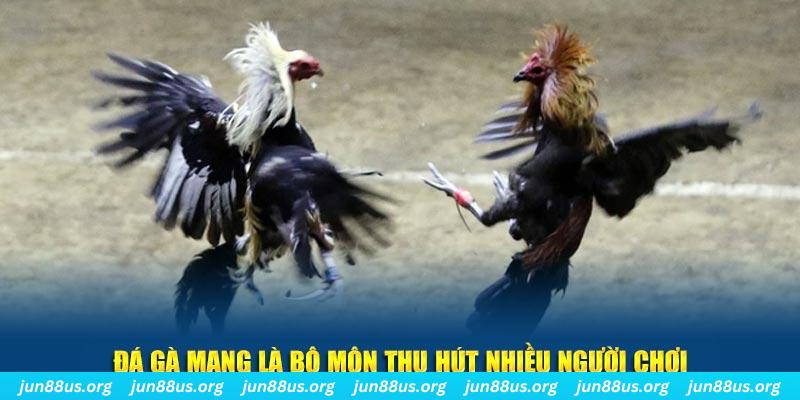 j88vip xổ số cà mau