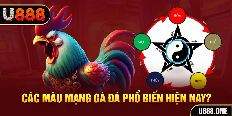 j88vip đăng nhập mậu binh