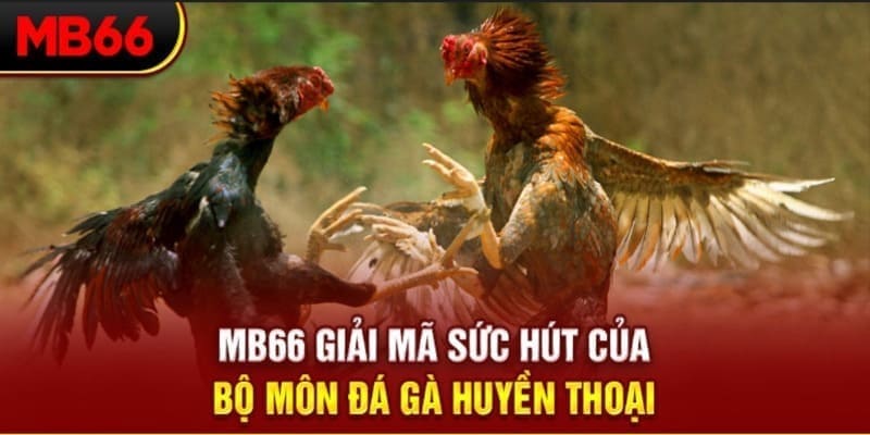 j88vip Phi Đội Ưu Tú