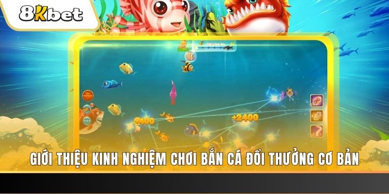 j88vip xổ số miền bắc thứ năm hàng tuần