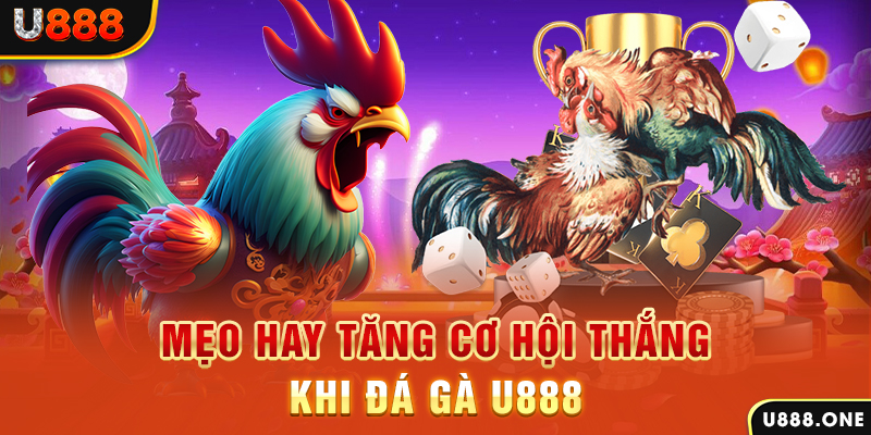 j88vip trực tiếp gà chọi c1