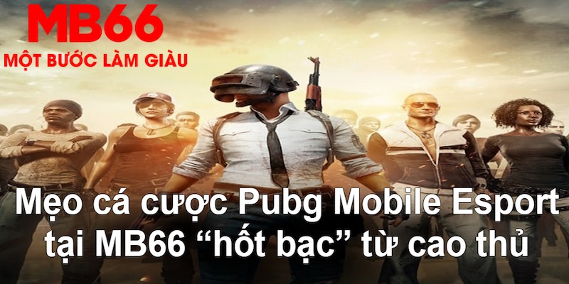 j88vip gà chọi mộc hóa