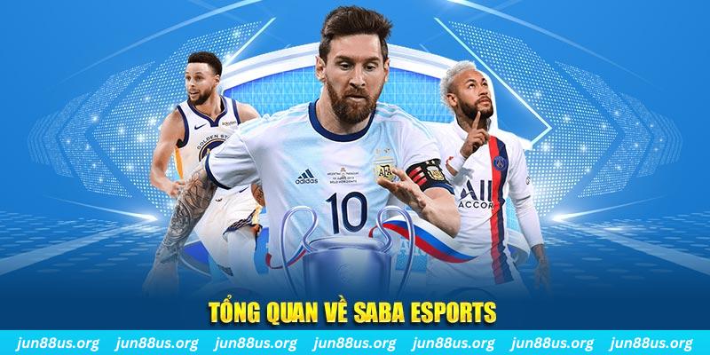 j88vip gà chọi c1 tv trực tiếp hôm nay